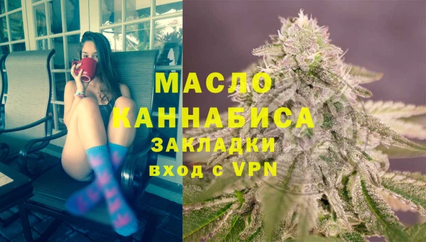 гидра Кулебаки