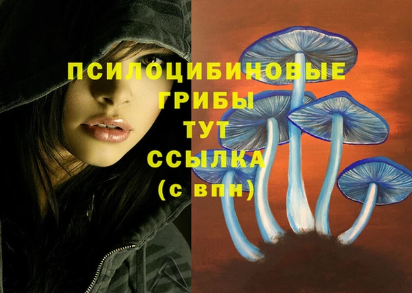 первитин Белокуриха