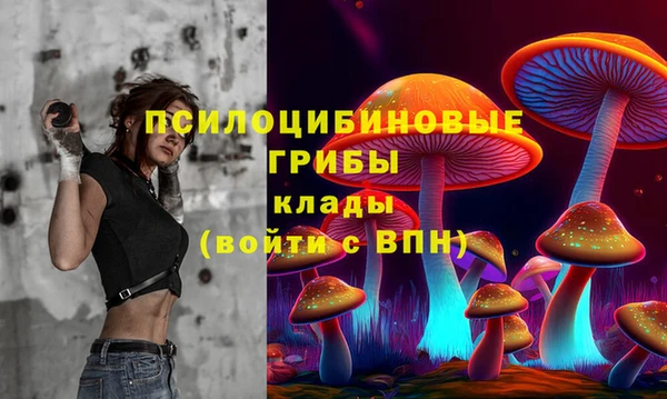 первитин Белокуриха