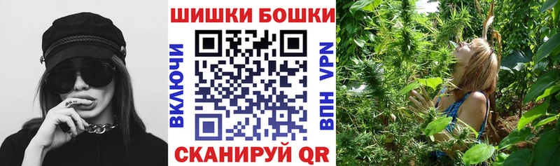 Бошки Шишки семена Великие Луки